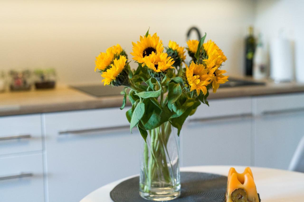 Sunflower Apartment Krakow Ngoại thất bức ảnh